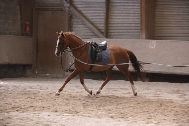 Juin 2010